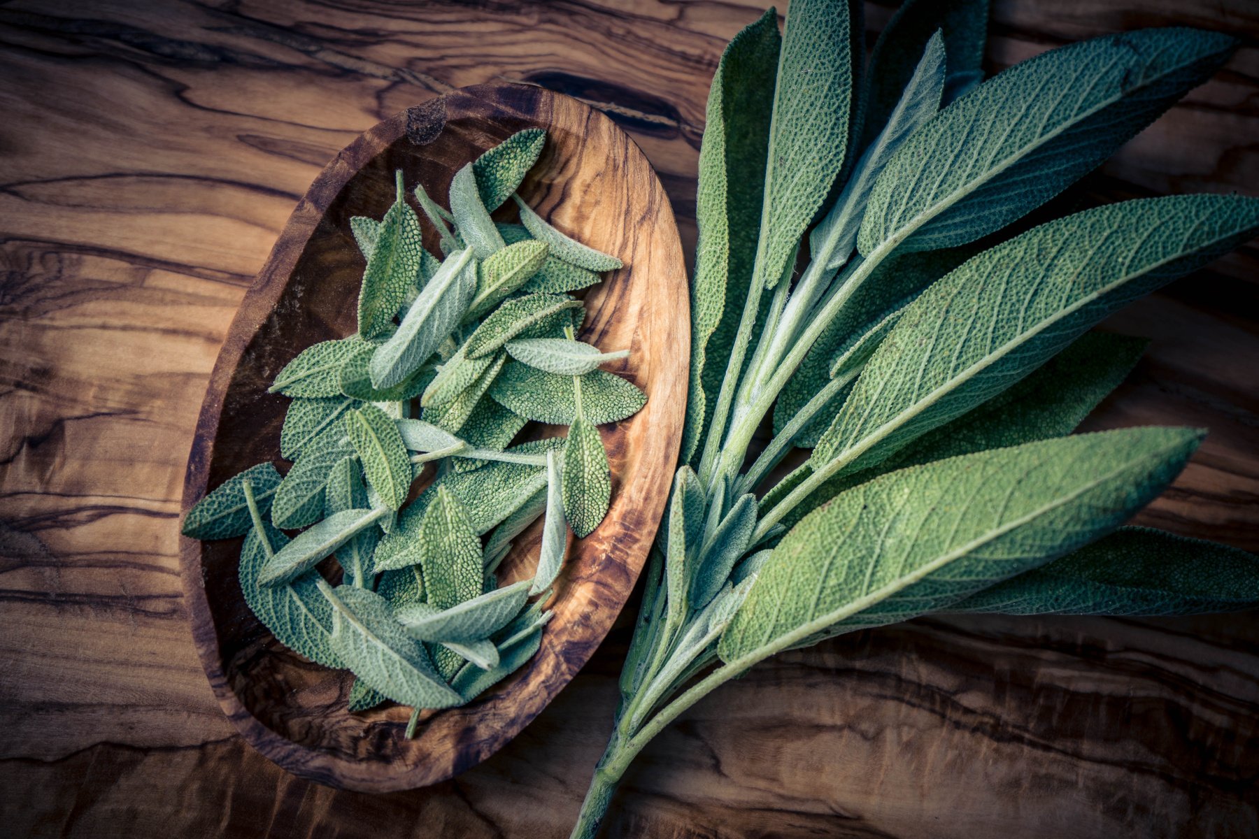 Sage in a bowl